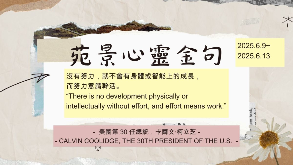 金句