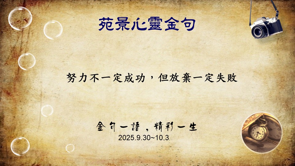 金句